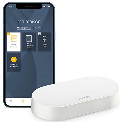 Somfy 1870755 - Kit de connectivité | Pour contrôler les moteurs et l'éclairage Somfy avec un smartphone | Compatible moteurs io & RTS| Contrôle à la voix via l'Assistant Google, Amazon Alexa, HomeKit