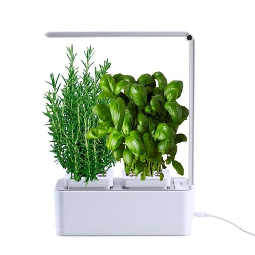 amzWOW Clizia Smart Garden- Potager Hydroponique D’Intérieur, Jardiniere Interieur pour Herbes aromatiques - Jardin Autonome Intelligent avec Minuterie Automatique, Lumière LED Incluse (Blanc)