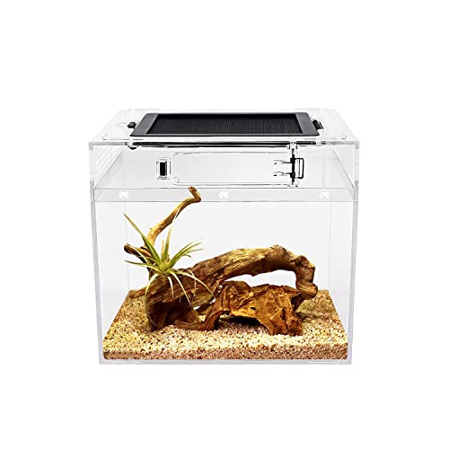 Reptile Growth PC Terrarium Reptile, 8" x 8"x 8" PC terrariums avec Vue complète visuellement Attrayante, Vivarium pour Léopard Gecko Barbu Dragon Lézard Escargot Tarentule Serpent Tortue