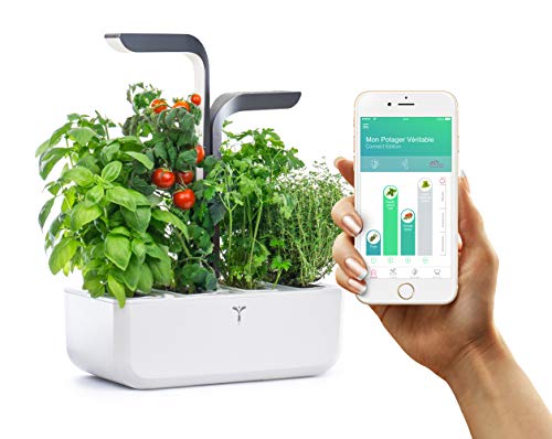 Véritable® CONNECT (Infinity Grey) - Potager d’Intérieur Fabriqué en France – Jardin Autonome Intelligent Livré avec 4 Lingots® - Connecté à l’Application