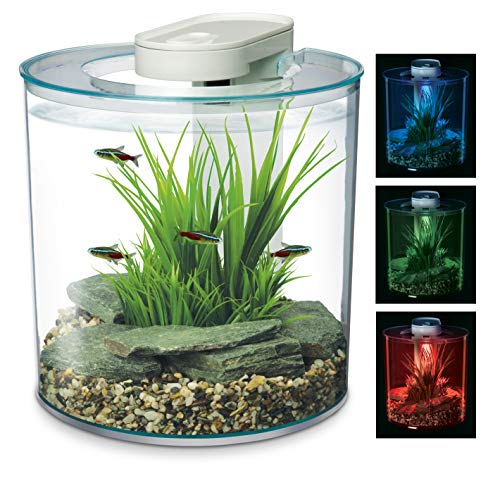 Marina 360 Aquarium with Remote Control LED Lighting, 10 Litre, Multicolour