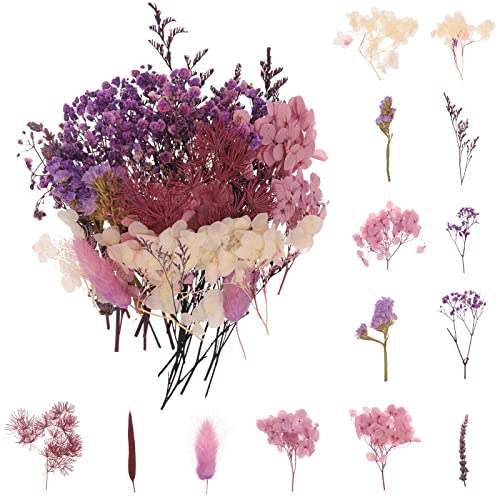 Bohoman Bouquet de Fleurs Séchées Naturelles Vraies Fleurs Pressées Décoration pour Bricolage Résine Epoxy Bijoux Floraux Nail Art DIY Bougie Fabrication Artisanale Scrapbooking (Violet)