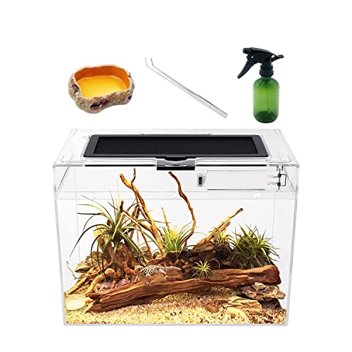 Reptile Growth PC Trousse de Terrarium Reptile, 12" x 7"x 9" PC terrariums avec Vue complète visuellement Attrayante, Vivarium pour Léopard Gecko Barbu Dragon Lézard Escargot Tarentule Serpent Tortue