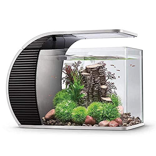 hygger Aquarium 19 litres, Petit Aquarium avec 3.2W Lampe LED, 5W Pompe à Eau, Boîtier de Filtration Caché, Sortie Bouche Canard, Couvercle en Verre