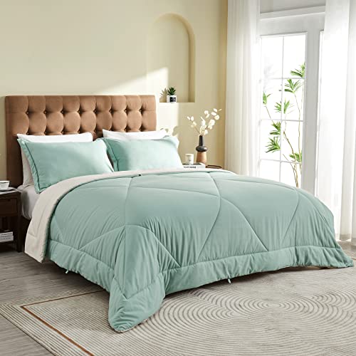 beeweed Couette Bicolore Réversible en Duvet 200GSM Naturelle Couette 4 Saisons Tempéré pour 2 Personne Couverture Chaude Légère 200 x 200 cm Confortable Couverture en Microfibre