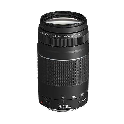 Canon EF 75-300mm f/4.0-5.6 III Objectif [Ancien Modèle]