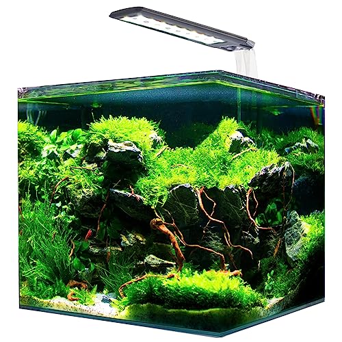 Amtra Nanotank, Aquarium en Verre Equipé LED et Pompe, 60L, Dimensions 38 x 38 x 43 cm