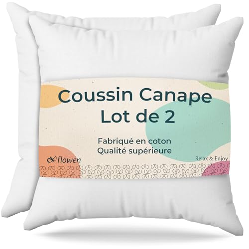 Coussin Canape 40x40 Lot de 2 Oreillers Decoratif Accessoires pour Sofa Decoration Aesthetic pour Salon et Exterieur Antiallergiques et Anti-Acariens avec Taie d'oreiller en Coton et Polyest.