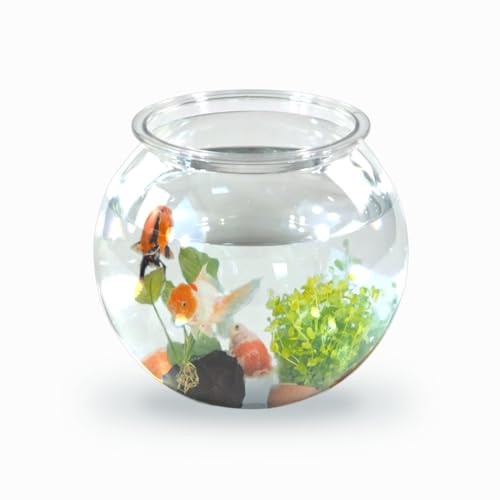 Mobiclinic® Pets, Bocal Poisson, Rond, Nemo, 4 litres, Plastique Pet ECO, Design Transparent, 20x20x17,5cm, Facile à Nettoyer, Résistant, Idéal pour la décoration intérieure, Herbes Aquatiques