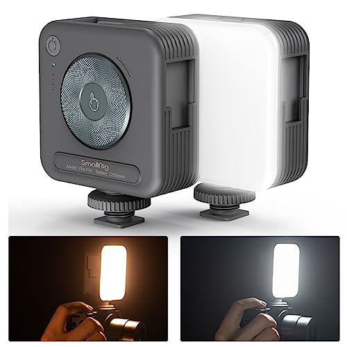 SMALLRIG P96 Lampe Vidéo LED, Lumières LED pour Camera Portable, 96 Perles LED pour Éclairage de Vidéographie Photographique, Panneau Rechargeable 2200mAh CRI95 + 2700-6500K avec 3 Cold Shoe - 3286B