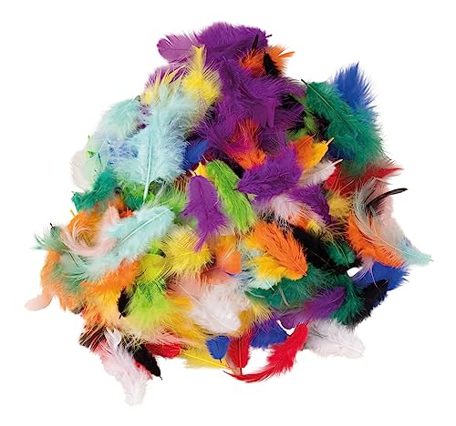 Rayher Mix plumes décoratives arc-en-ciel loisirs créatifs 3-10 cm, 10g, 8511799