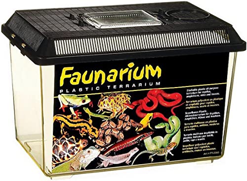 EXO TERRA PT2260 Standard Faunarium, Medium