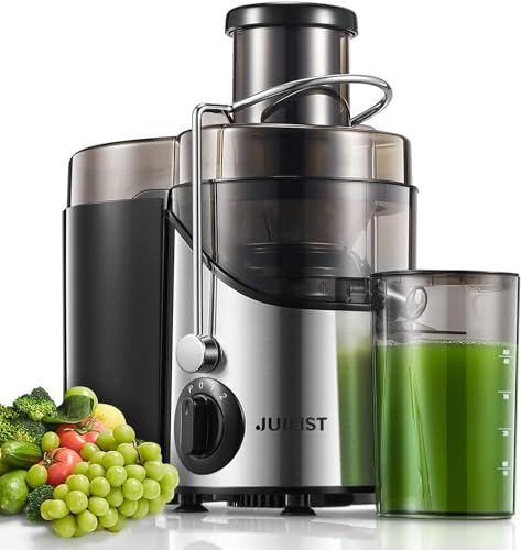 JUILIST Centrifugeuse Extracteur de Jus, 400W Centrifugeuse Fruits et Legumes 65 MM Large Bouche, 3 Vitesses, Pieds Antidérapants, Brosse de Nettoyage Incluse, Facile à Nettoyer, Sans BPA, Argent