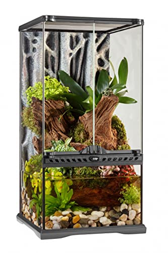 Exo Terra Terrarium en Verre avec Ventilation Frontale Unique, 30 x 30 x 60 cm, également utilisable comme paludarium