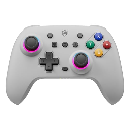 ECHTPower Manette Switch Gris, 2024 Couleur Rétro Manette Switch Sans Fil avec Hall Joysticks/RGB/Macro/Turbo/Vibration, Manette Switch Pro Bluetooth Compatible avec Switch/OLED/PC/Adroid/iOS