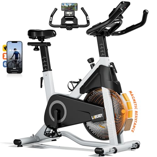 LABGREY Vélo d'Appartement, Vélo de Fitness d'Exercice d'Intérieur Silencieux avec Écran LCD, Guidon et Siège Réglables, Résistance Ajustable pour l'Entraînement Cardio à la Maison (Gris)