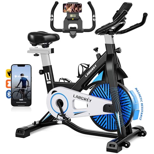 LABGREY Vélo d'Appartement, Vélo de Fitness d'Exercice d'Intérieur Silencieux avec Écran LCD, Guidon et Siège Réglables, Résistance Ajustable pour l'Entraînement Cardio à la Maison (Magnétique)