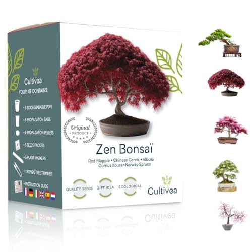 CULTIVEA® Mini Kit Prêt à Pousser Bonsaï – Graines Françaises 100% Écologiques - Jardinez et décorez - Idée Cadeau (Red Mapple, Chinese Cercis, Albizia, Cornus Kousa, Norway Spruce) - Made in France