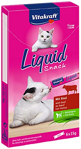 Vitakraft Liquid Snack - Friandise liquide pour chats au Bœuf et à l'herbe à chat - Soutient la flore intestinale - Faible en calories (6 x 15g)