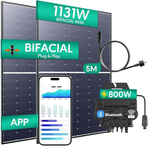 Zendure Panneau solaire monocristallin Bi-facial/Bi-verre 1131W, avec APsystems EZ1 Micro onduleur, Convient pour Zendure SolarFlow Hyper Hub, IP68, Applicable pour Les toits, balcons, etc