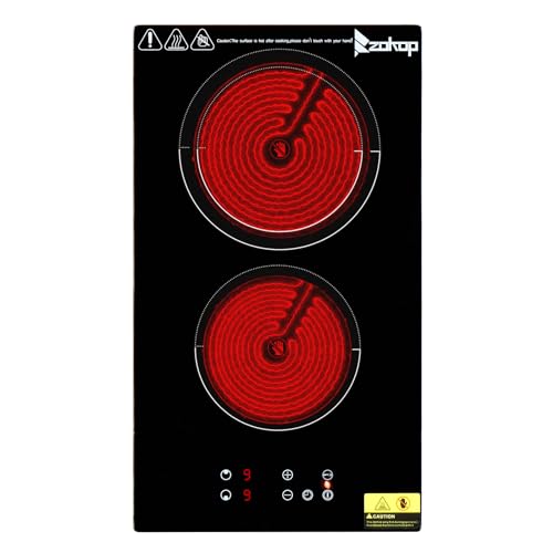 LEADZM Plaque de cuisson vitrocéramique, 2 feux, 3000 W, Minuteur, touches tactiles, anti-débordement, 9 niveaux de puissance