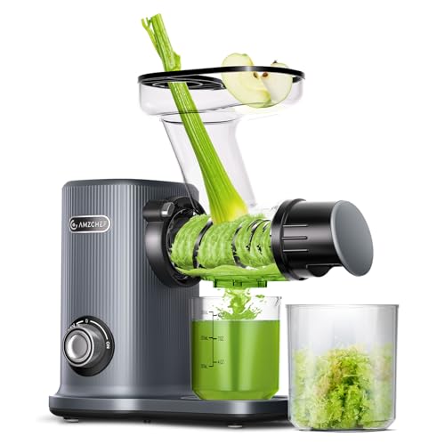 AMZCHEF Extracteur De Jus Compact Avec Deux Modes D'Alimentation Pour Une Utilisation Facile - Extracteur Jus High-Tech Silencieux Avec Mastication Inversée Et Rendement En Jus Ultra Élevé - Gris