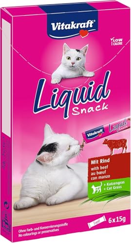 Vitakraft Liquid Snack, friandise liquide pour chat, au bœuf et à l’herbe à chat, en sachets individuels, pour une flore intestinale saine (1 paquet de 6x 15g)
