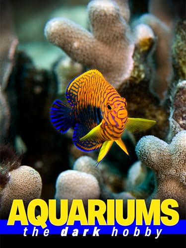 Aquariums : the dark hobby