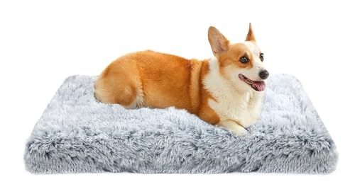 MDDK DY Panier pour Chien Moyen Déhoussable et Lavable, Lit Confortable Antidérapant, Rembourrage Moelleux, Gris Ombré 75 x 50 x 8 cm