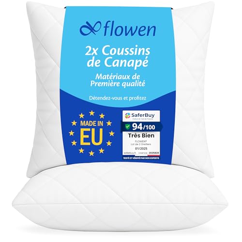 Coussin Canape 40x40 Lot de 2 Oreillers Decoratif Accessoires pour Sofa Decoration Aesthetic pour Salon et Exterieur Antiallergiques et Anti-Acariens avec Taie d'oreiller en Coton et Polyest.