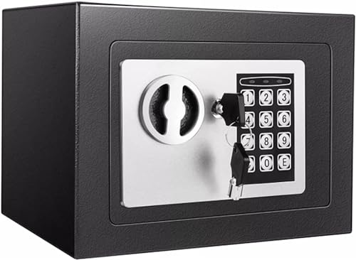 Coffre-fort en acier de 6,6 Litres - Mot de Passe électronique, Coffre-fort de Bureau à domicile Pour Argent Liquide, Bijoux, Documents et Autres Objets de Valeur (23 x 17 x 17 cm)