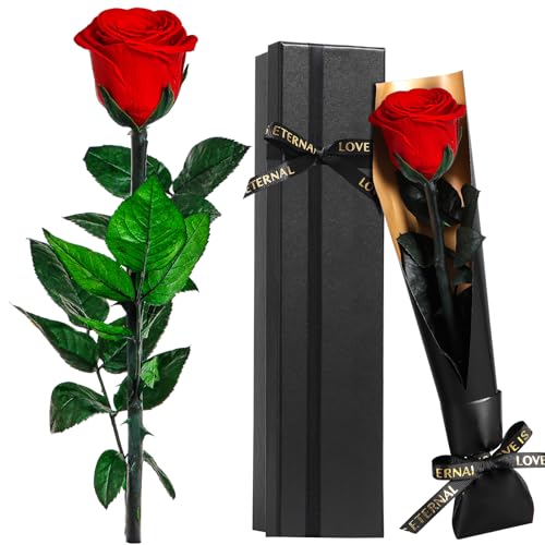 Touloube Rose Eternelle Préservée Cadeau pour Femmes pour La Fête des Mères, Fleur Rouge Cadeau Femme, Idee Rosee Cadeau pour Elle, Maman Amie Épouse Sœur Mamie, Cadeau Amour Saint-Valentin