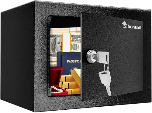 Bonsaii Coffre-fort à clés 6,6 L, structure en acier, pour espèces, bijoux et objets de valeur, 17 x 23 x 17 cm, idéal pour la maison, le bureau et l'hôtel