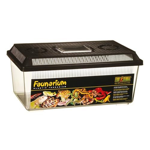 Exoterra Terrarium Polyvalent pour Reptile/Amphibien 36 x 21 x 16 cm