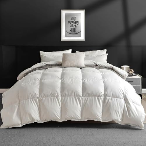 APSMILE Couette 220x240 4 Saisons Duvet et Plumes, Couette Duvet 2 Personne de Coton Égyptien Doux, Edredon Gonflante pour Les Personnes allergiques, Ökotex & RDS