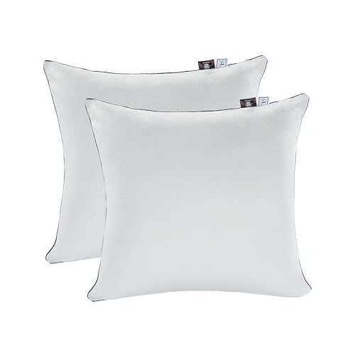Makimoo Premium Lot de 2 Oreillers avec Taies Antiacariens Amovibles, Anti-Allergies avec Garnissage 3D Fibre Polyester, 60 x 60 cm Qualité Hotel