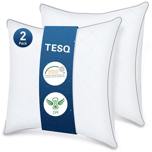 TESQ Oreiller 65x65 cm Lot de 2, Qualité Hôtelière de Luxe Oreiller Lot de 2 Oreillers Confort Moelleux, Respirant et Hypoallergénique Certifié Oeko-TEX, Adapté à Toutes Les Positions de Sommeil