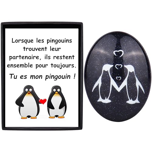 Merclix Idée Cadeau Amoureux Homme & Femme - Original, Pierre de Pingouin - Cadeau Saint Valentin & Noël