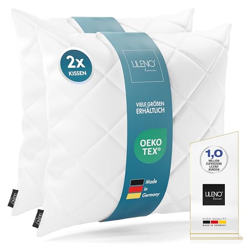 LILENO HOME Lot de 2 coussins, 40 x 40 cm, lavables à 95 °C, conviennent aux personnes allergiques, en polyester, conviennent comme coussin de canapé, coussin de cocktail et oreiller