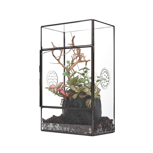 NCYP Terrarium géométrique Noir rectangulaire en Verre avec Porte latérale et Trois Trous d'aération Fait à la Main, 13x10x23cm, pour Petits Insectes Décoration de Jardin (Terrarium Uniquement)